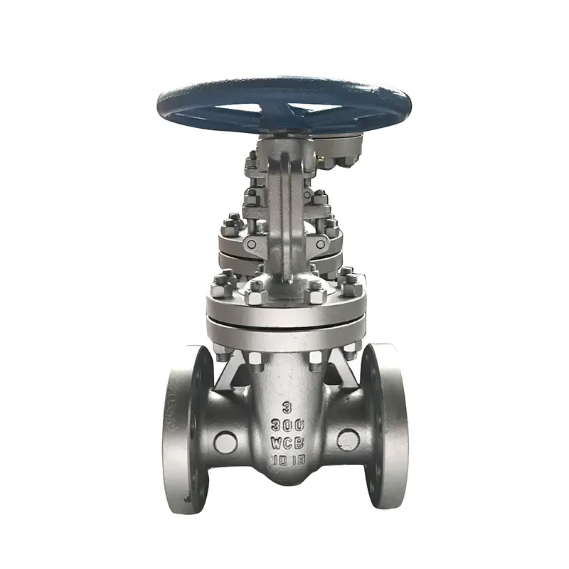 Why Are Gate Valves Everywhere?