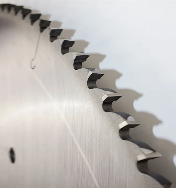 800mm Big Diameter Carbide Tip Saw Blade for Cutting Hard Wood